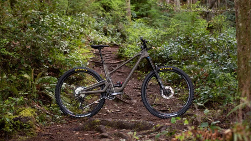 Forbidden Druid XT Build - 29 Wheels - Mr Brownstone-1